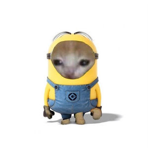 Meet your Posher, Ariani